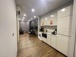 The Wisteria (D27), Apartment #463532331